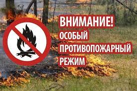 Bez-nazvaniya.jpg