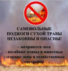 Bez-nazvaniya-1.jpg